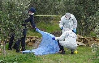 Ağabey kardeş arasındaki ağaç kavgasında kan...