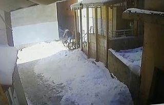 Ağrı’da bisiklet hırsızları yakayı ele verdi