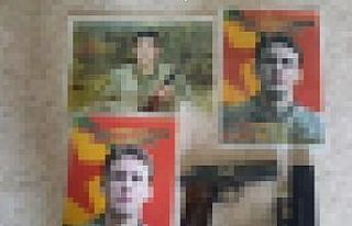 Ağrı’da eş zamanlı silah kaçakçılığı operasyonu