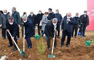 Ahi Evran Kardeşlik Ormanına İlk Fidanlar Dikildi