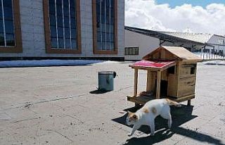 AİÇÜ’de Minik Dostlar Unutulmadı