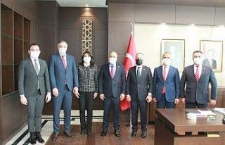 AK Partili Turan’dan Gelibolu’yla ilgili doğal...