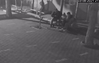 Akıl almaz görüntü, neden yaptığını hiç kimse...