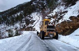 Alanya’da karla kapanan yollar açılıyor