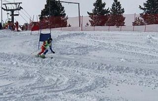 Alp Disiplini kayak yarışmaları Sarıkamış Cıbıltepe...