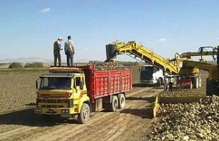 Altıntaş’ta hedef 200 bin ton pancar üretimi