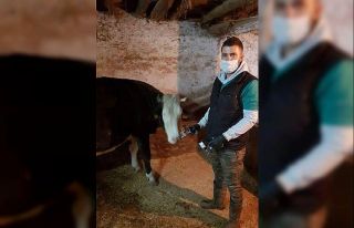 Altıntaş’ta ’’Şap’’ aşısı kampanyası