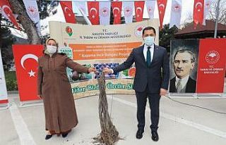 Amasya’da incir, elma ve kiraza alternatif olacak
