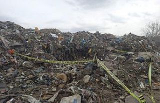 Ankara’da yakılmış köpek leşleri toplandı