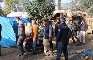 Antalya’da horoz dövüşü baskını: 22 gözaltı