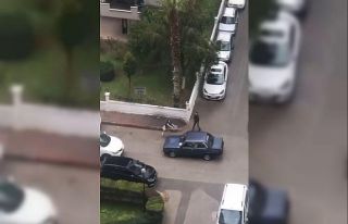 Antalya’da ‘otomobilin suçu ne?’ dedirten görüntü