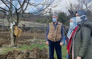 Antioksidan kaynağı meyve ’Aronya’ artık Bilecik’te...
