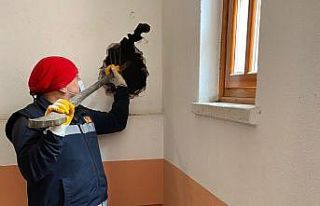 Apartman boşluğuna düşen kediyi itfaiye ekibi...