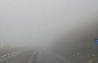 Araban’da yağış ve sis etkili oldu