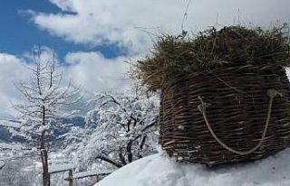 Artvin’de büyüleyen kış manzaraları