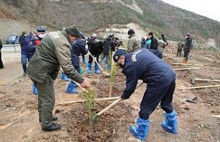 Artvin’de fidanlar toprakla buluştu