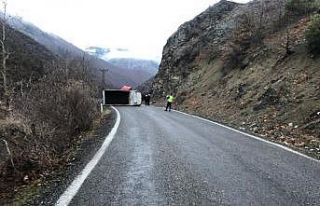 Artvin’de kamyonet devrildi: 2 yaralı