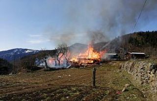 Artvin’de korkutan yangın