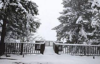 Artvin’in ünlü Kafkasör Yaylası yağan karla...