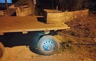 Ata keserli işkence