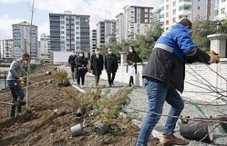 Atakum’a yeni yeşil alan