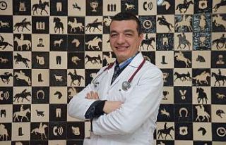 Atlarda görülen EHV-1 virüsü küresel bir salgın...