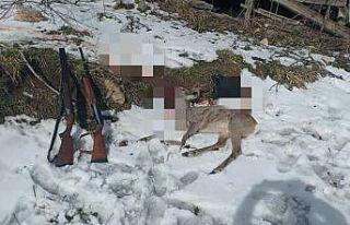 Avı yasak karacayı avlayınca suçüstü yakalandılar