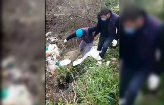 Ayaklarından bağlayıp çuvala koydukları köpeği...