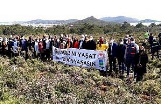Ayvalık’ta AK Partili kadınlardan “Güçlü...