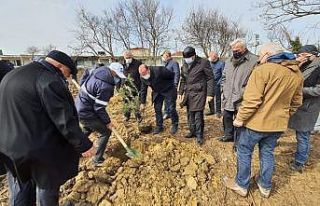 Babalı Sahili’ne anlamlı hatıra ormanı