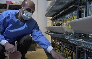 Babasının tedavisi için gittiği doktorun tavsiyesi...