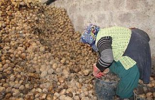 Bağcılar Belediyesi, Nevşehir’den 100 ton patates...
