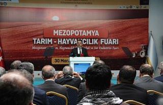 Bakan Pakdemirli: "Diyarbakırlı çiftçilerimize...