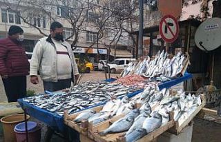 Balık fiyatları el yakıyor