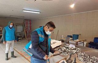 Balık pazarı denetlendi