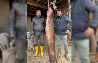 Balıkçıların oltasına 2 metre 20 santimlik yayın...