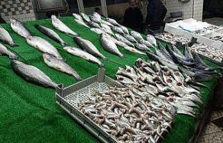 Balıkçıların yüzlerini çinekop ve istavrit güldürdü