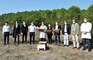 Balıkesir Üniversitesi, bölge hayvancılığına...