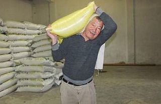 Balıkesir’de 78’lik hamal her gün tonlarca yükü...