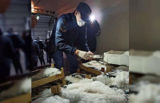 Balıklara asgari boy denetimi