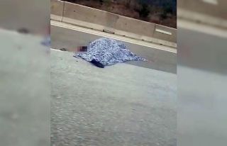 Bariyerlere çarpan motosiklet sürücüsü feci şekilde...