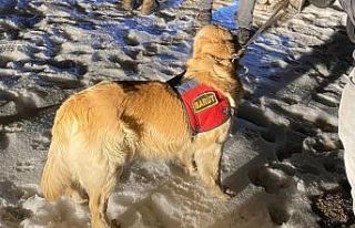 Başkale’de 123 kilogram eroin ele geçirildi