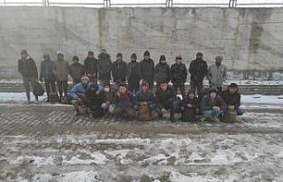 Başkale’de 22 düzensiz göçmen yakalandı