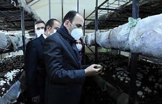 Başkan Altay: "Akören’i mantarda ve susamda...