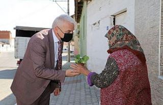 Başkan Bilgin, kadınlara çiçek dağıttı