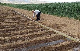 Başkan Kuldal’dan üreticilere üzücü haber:...