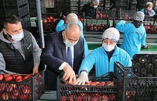 Başkan Öztürk; “Elma üreticilerinin sorunlarını...
