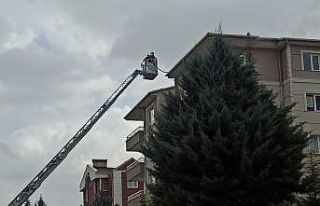 Başkent’te düşen yıldırım yangına neden oldu