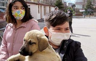 Başkentte hayvansever okula destek