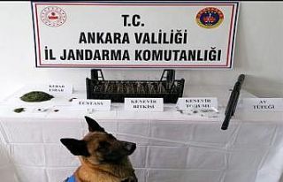 Başkent’te uyuşturucu operasyonları: 21 gram...
